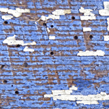 Tratamiento contra Xil�fagos 